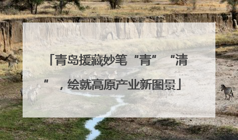 青岛援藏妙笔“青”“清”，绘就高原产业新图景
