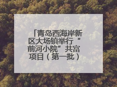 青岛西海岸新区大场镇举行“前河小院”共富项目（第一批）集中开业仪式