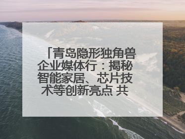 青岛隐形独角兽企业媒体行：揭秘智能家居、芯片技术等创新亮点 共绘科技新篇章