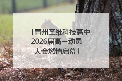 青州圣维科技高中2026届高三动员大会燃情启幕