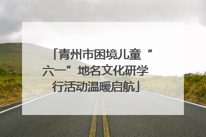 青州市困境儿童“六一”地名文化研学行活动温暖启航