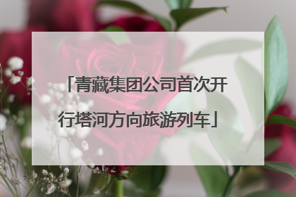 青藏集团公司首次开行塔河方向旅游列车