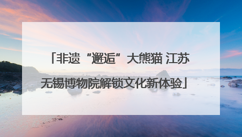 非遗“邂逅”大熊猫 江苏无锡博物院解锁文化新体验
