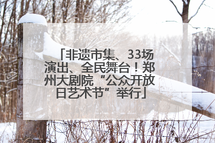 非遗市集、33场演出、全民舞台！郑州大剧院“公众开放日艺术节”举行
