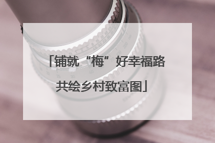 铺就“梅”好幸福路 共绘乡村致富图