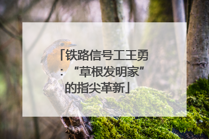 铁路信号工王勇：“草根发明家”的指尖革新