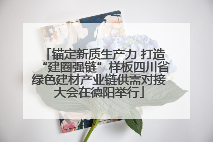 锚定新质生产力 打造“建圈强链”样板四川省绿色建材产业链供需对接大会在德阳举行