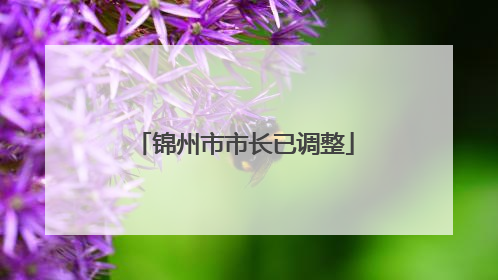 锦州市市长已调整