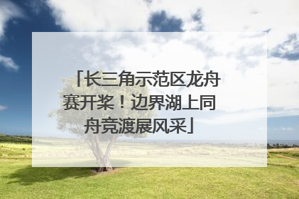 长三角示范区龙舟赛开桨！边界湖上同舟竞渡展风采