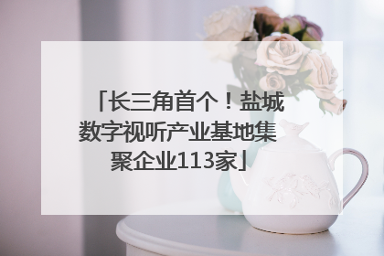 长三角首个！盐城数字视听产业基地集聚企业113家