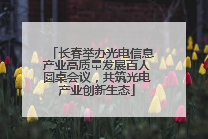 长春举办光电信息产业高质量发展百人圆桌会议，共筑光电产业创新生态