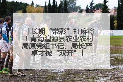 长期“带彩”打麻将！青海湟源县农业农村局原党组书记、局长严卓才被“双开”