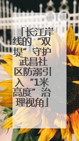 长江岸线的“双堤”守护 武昌社区防溺引入“1米高度”治理视角