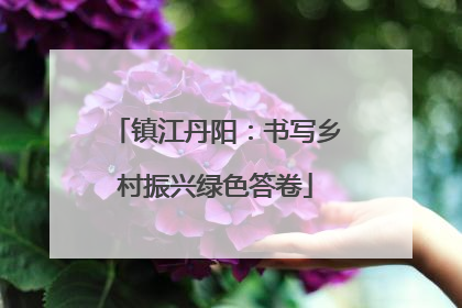 镇江丹阳：书写乡村振兴绿色答卷