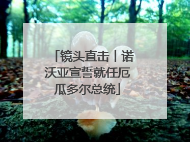 镜头直击丨诺沃亚宣誓就任厄瓜多尔总统