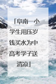 阜南一小学生用压岁钱买水为中高考学子送清凉