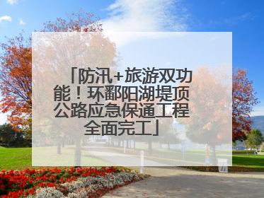 防汛+旅游双功能！环鄱阳湖堤顶公路应急保通工程全面完工