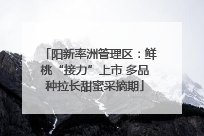 阳新率洲管理区：鲜桃“接力”上市 多品种拉长甜蜜采摘期