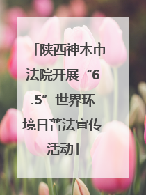 陕西神木市法院开展“6.5”世界环境日普法宣传活动
