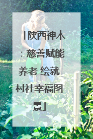 陕西神木：慈善赋能养老 绘就村社幸福图景
