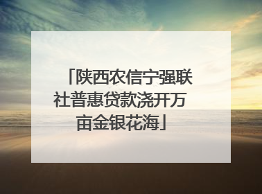 陕西农信宁强联社普惠贷款浇开万亩金银花海