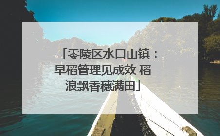 零陵区水口山镇：早稻管理见成效 稻浪飘香穗满田