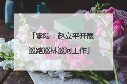 零陵：赵立平开展巡路巡林巡河工作