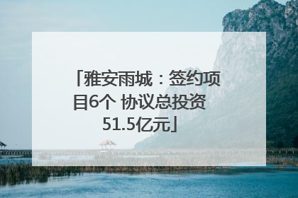 雅安雨城：签约项目6个 协议总投资51.5亿元