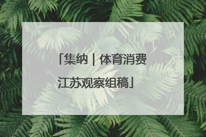 集纳｜体育消费江苏观察组稿