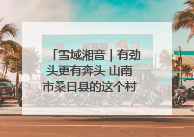 雪域湘音｜有劲头更有奔头 山南市桑日县的这个村落迎来蜕变