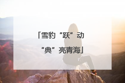 雪豹“跃”动 “典”亮青海