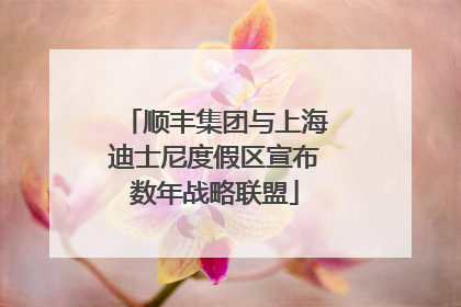 顺丰集团与上海迪士尼度假区宣布数年战略联盟