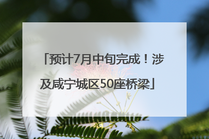 预计7月中旬完成！涉及咸宁城区50座桥梁
