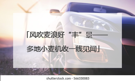 风吹麦浪好“丰”景——多地小麦机收一线见闻