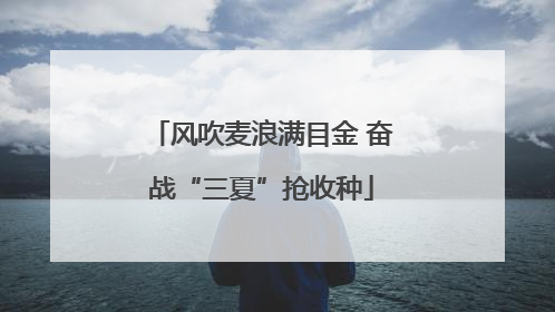风吹麦浪满目金 奋战“三夏”抢收种