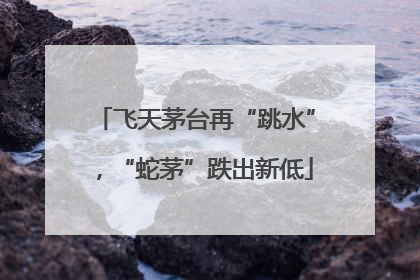 飞天茅台再“跳水”，“蛇茅”跌出新低