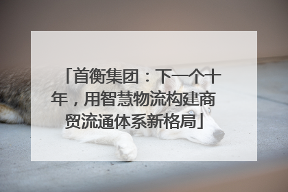 首衡集团：下一个十年，用智慧物流构建商贸流通体系新格局