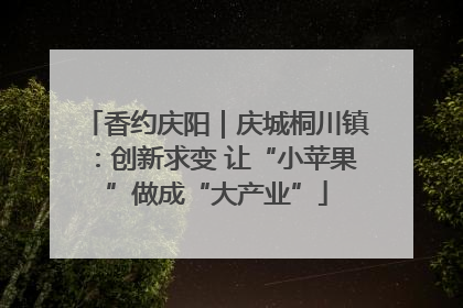 香约庆阳｜庆城桐川镇：创新求变 让“小苹果”做成“大产业”