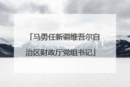 马勇任新疆维吾尔自治区财政厅党组书记