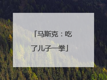 马斯克：吃了儿子一拳