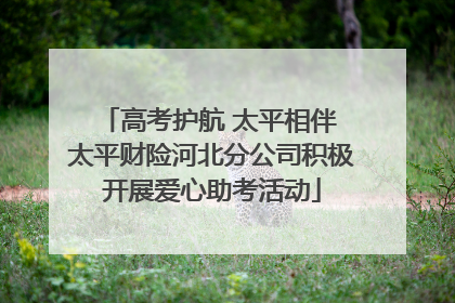 高考护航 太平相伴 太平财险河北分公司积极开展爱心助考活动