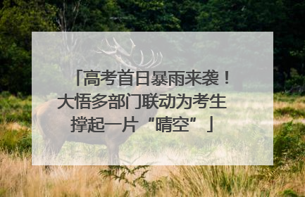 高考首日暴雨来袭！大悟多部门联动为考生撑起一片“晴空”