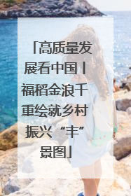 高质量发展看中国丨福稻金浪千重绘就乡村振兴“丰”景图