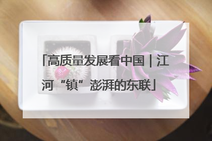 高质量发展看中国｜江河“镇”澎湃的东联