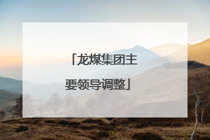 龙煤集团主要领导调整