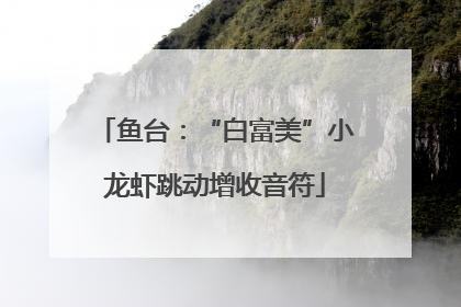 鱼台：“白富美”小龙虾跳动增收音符