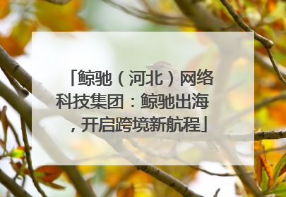 鲸驰（河北）网络科技集团：鲸驰出海，开启跨境新航程