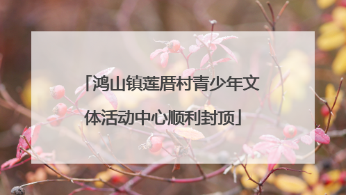 鸿山镇莲厝村青少年文体活动中心顺利封顶