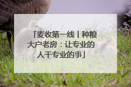 麦收第一线丨种粮大户老房：让专业的人干专业的事