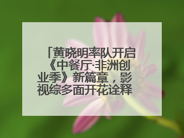 黄晓明率队开启《中餐厅·非洲创业季》新篇章，影视综多面开花诠释全能担当
